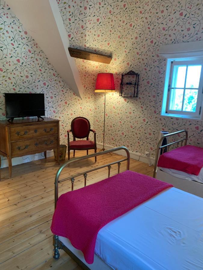 Le Donjon D'Anthon Bed & Breakfast Ngoại thất bức ảnh